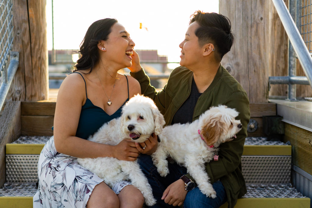 Lesbian engagement photo with two dogs