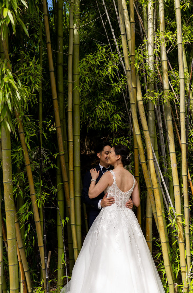 couple holding each other by bamboo trees at Queen Elizabeth Park