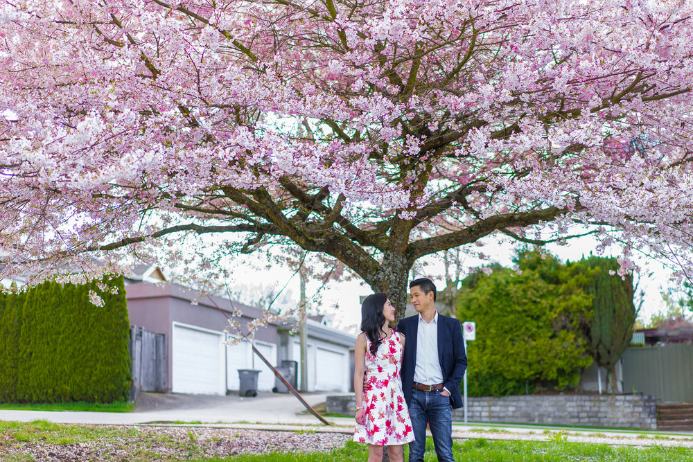 Vancouver cherry blossom engagement shoot