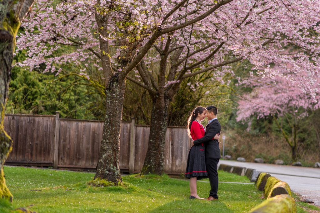 Cherry Blossom Engagement session at Cates Park 