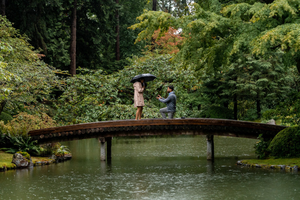 guy proposing in the rain at UBC rose gardens